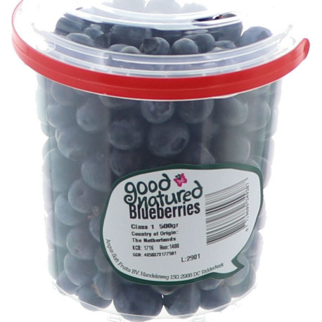 MYRTILLE SEAU 6X500G